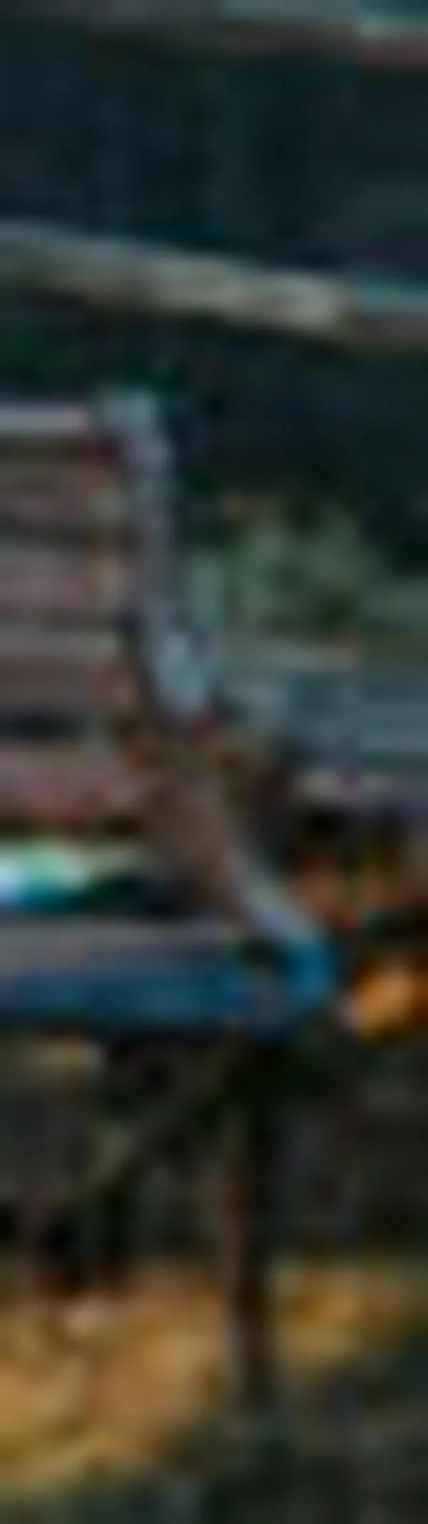 Luis Fonsi, TIMØ y Joaquina encienden el 2026 con lanzamientos vibrantes