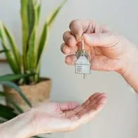 Subsidio de arriendo