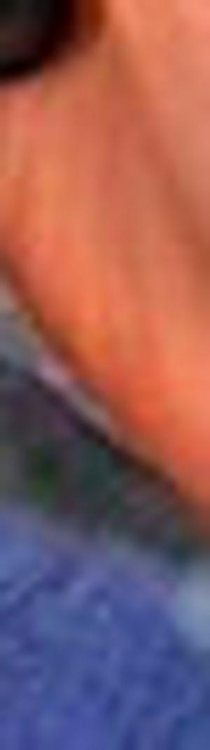 imagen nota inferior