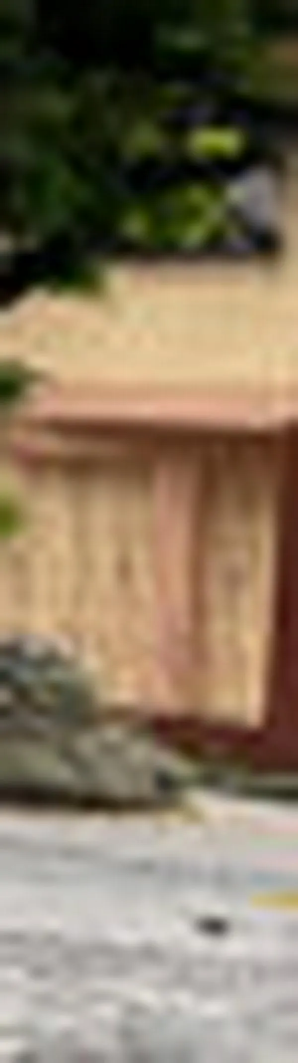 Cristian Viveros pone en discusión el uso del predial: propone que la gente tape los huecos y esto se descuente del pago impuesto