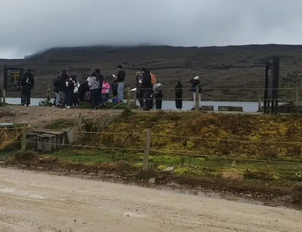 Tejiendo territorios en Bogotá: estudiantes descubren la biodiversidad de los páramos  
