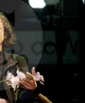 Imagen representativa del artículo