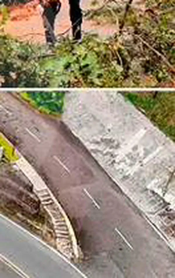 ¿Castigo? Por qué Corantioquia le quitó los poderes ambientales a Envigado