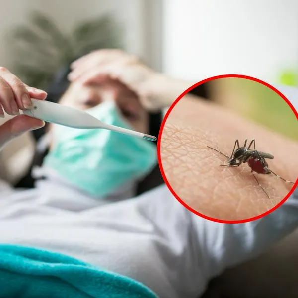 Alerta sanitaria por fiebre amarilla en Colombia: muertes, contagios y más