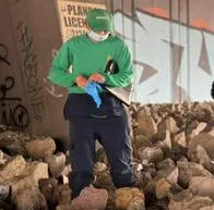 Restos óseos hallados en calle Sexta con avenida NQS en Bogotá, corresponderían a huesos de especie porcina 