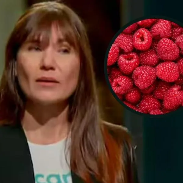 imagen principal home