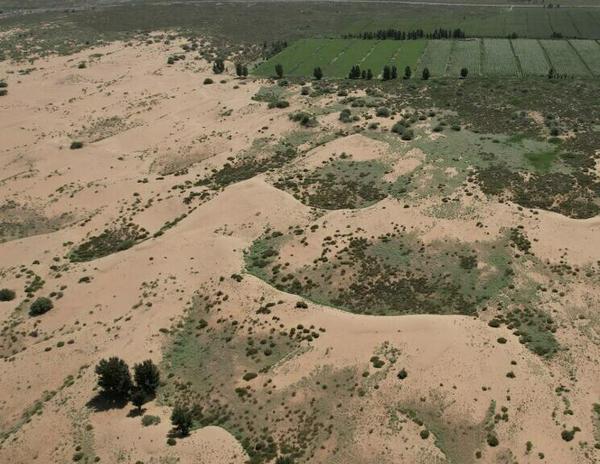 imagen principal home