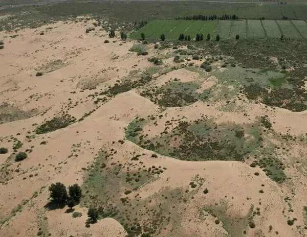 China experimenta con microalgas para frenar el avance del desierto