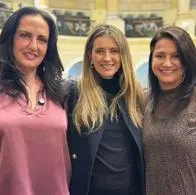 Qué es la escisión del Centro Democrático, el pedido de Cabal en sorpresiva carta de renuncia por los resultados de la encuesta interna. 