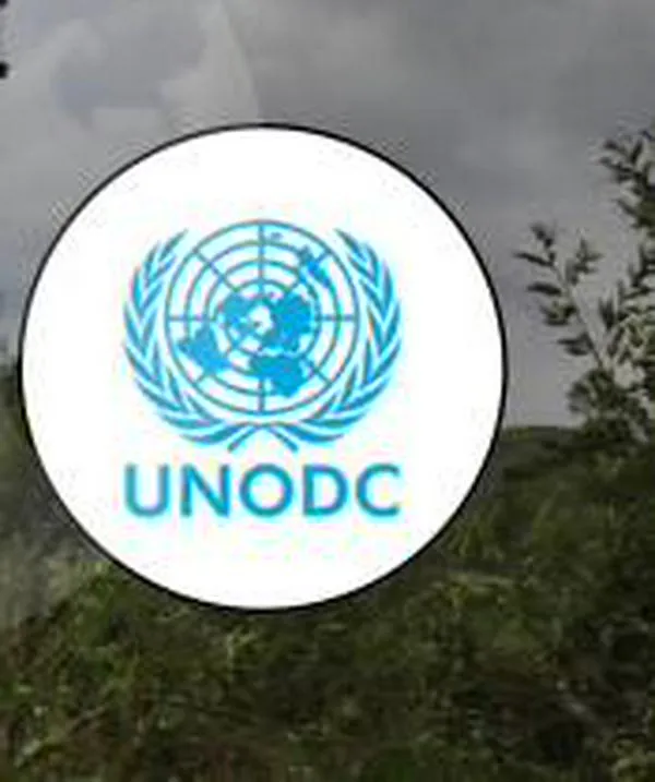 Gobierno dejará de medir cocaína con cifras de la ONU y pone en riesgo respaldo internacional