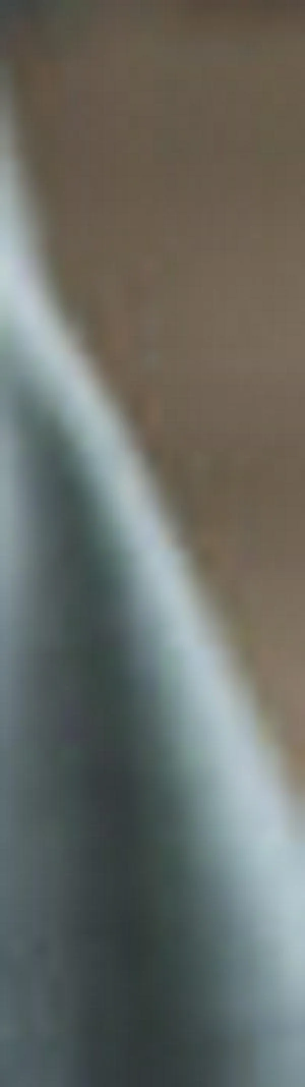 Menor diversificación de fondos pensionales reduciría hasta 24,3% ahorro de los afiliados