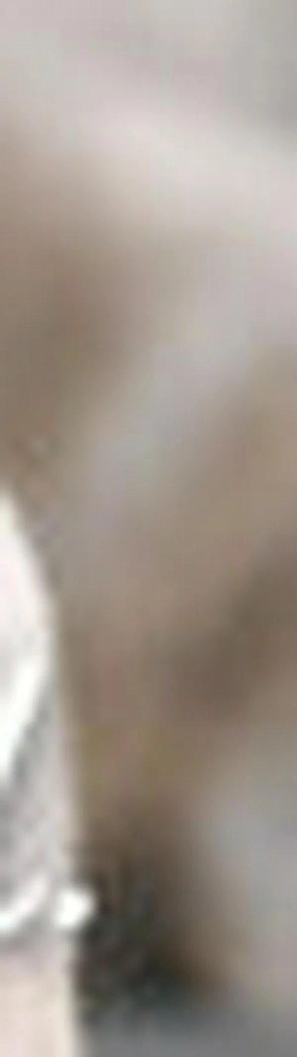 Cómo mejorar tu relación con el celular sin dejarlo por completo