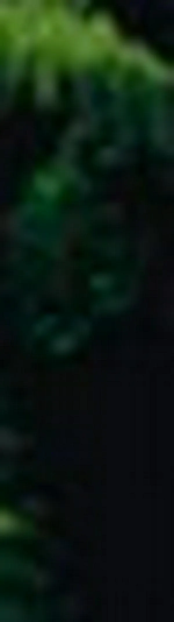 En riesgo construcción de doble calzada Popayán- Santander de Quilichao