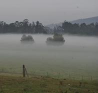 Del freno al ajuste: así cambió el nuevo proyecto ambiental para la Sabana de Bogotá 