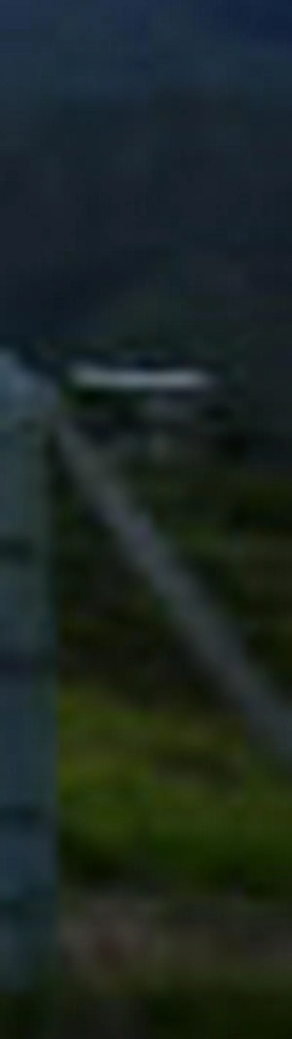 16 animales silvestres fueron liberados en el Ecoparque Cristo Rey