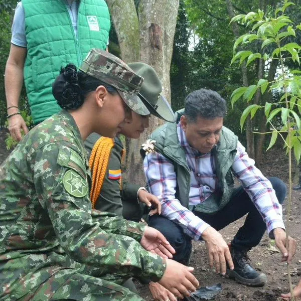 Pereira ya cuenta con un centenar más de pulmones naturales