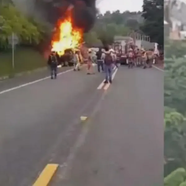 Trágico accidente en vía Cali-Popayán: bus chocó contra tractomula y hay por lo menos 3 muertos. 