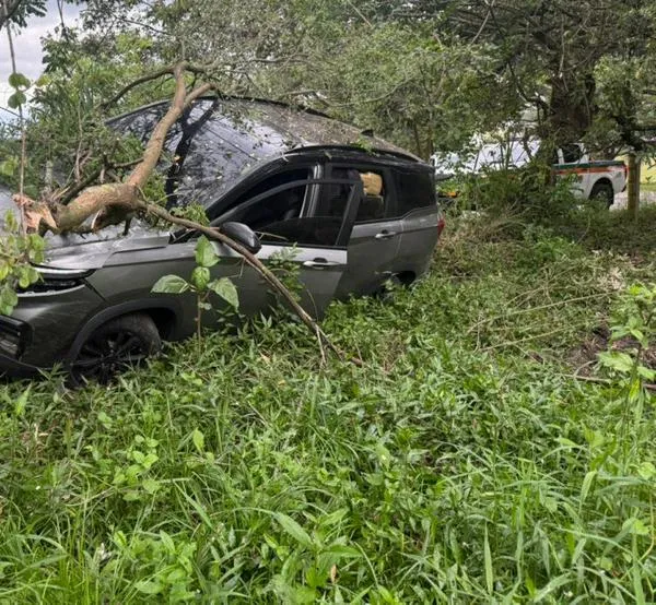 Camioneta cargada con 744 kilos de marihuana se accidentó el persecución de Policía