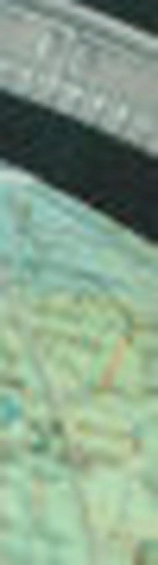 Estudio anticipa a dónde viajaremos en el 2026