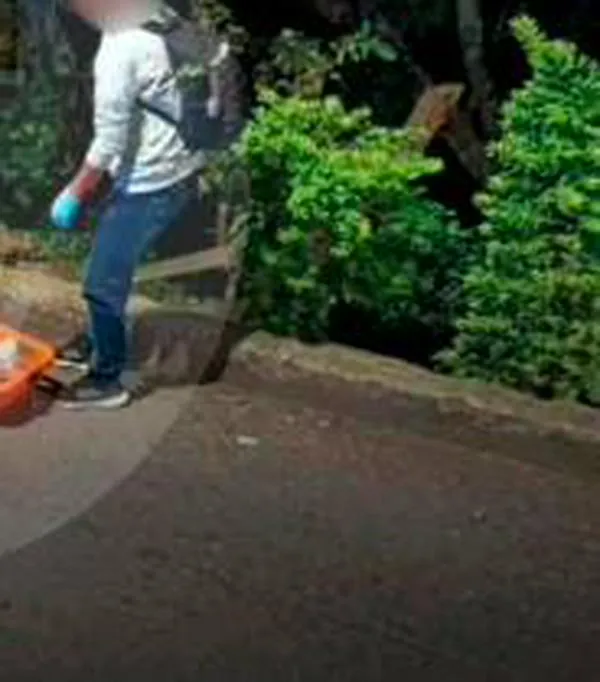 Reacomodo de La Terraza en Medellín deja 3 asesinatos; a cabecilla lo mataron en una finca: ¿que pasó?