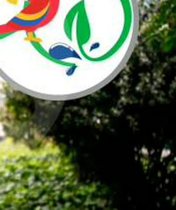 ¿Otra ‘jugadita’? Tras el enredo con el Partido del Trabajo, el Partido Ecologista ofrecería aval a Diana Osorio