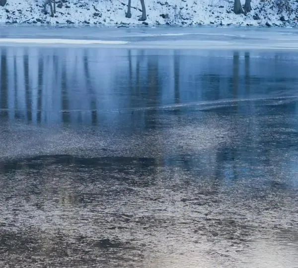 Tres hermanos menores de edad murieron tras caer en un estanque de aguas heladas en EE. UU.