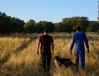 ¿Por qué España decidió regularizar a 500.000 migrantes indocumentados?