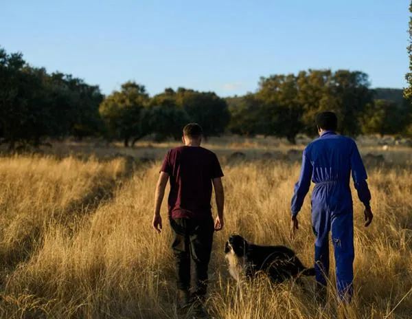 ¿Por qué España decidió regularizar a 500.000 migrantes indocumentados?