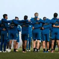 Millonarios: candidatos para reemplazar a Hernán Torres como DT, quiénes son