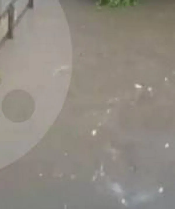 Video: Así se llenó y se desbordó La Presidenta en 44 minutos