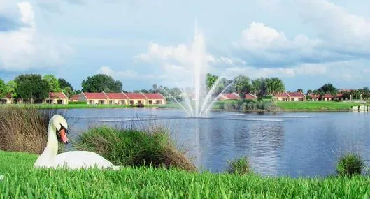 Cómo llegar a Kissimmee, en Florida, cerca a Miami para ver Portugal vs Colombia