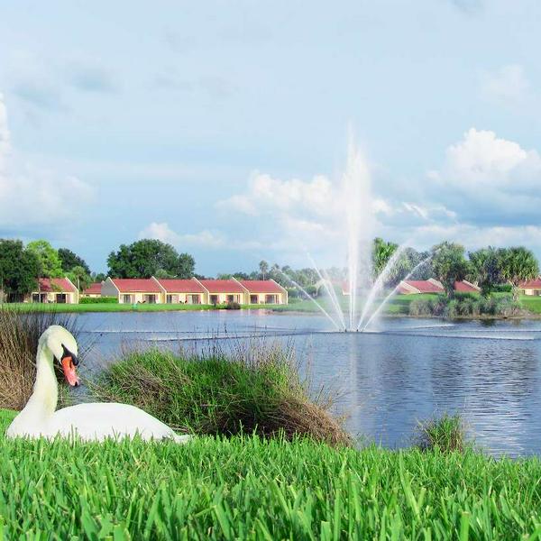 imagen principal home