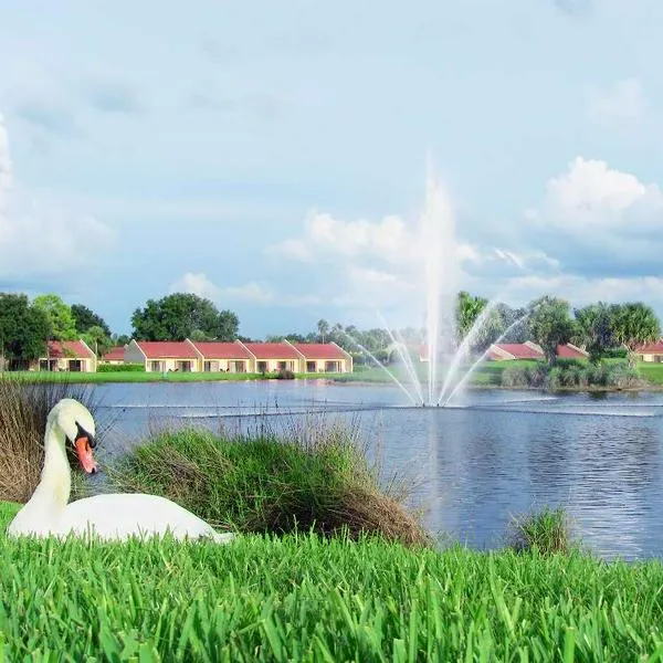 Cómo llegar a Kissimmee, en Florida, cerca a Miami para ver Portugal vs Colombia
