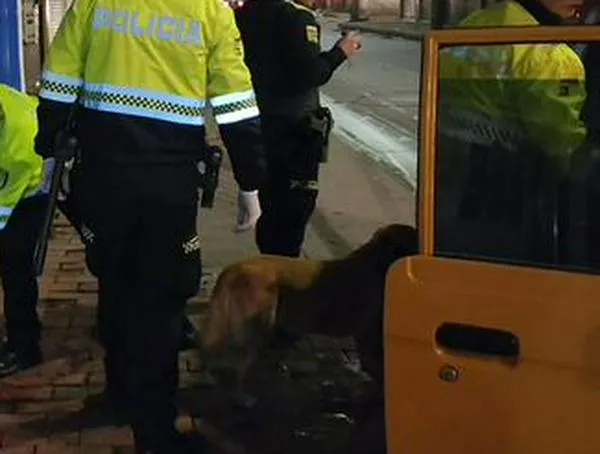 El Amparo y María Paz: la otra cara del control territorial en Bogotá