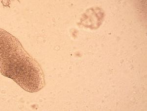 imagen nota inferior