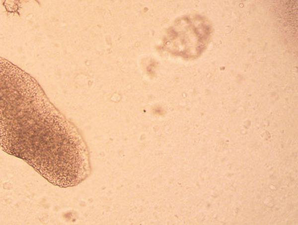 imagen principal home