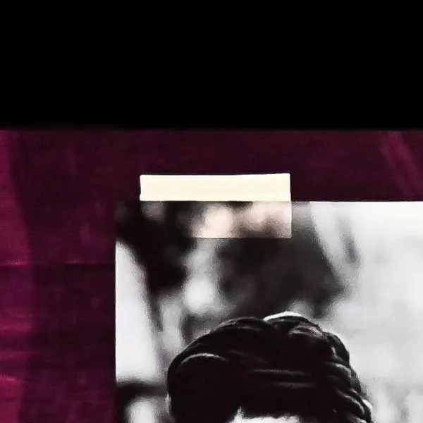 Familia de Frida Kahlo ganó pleito por uso de su nombre en Colombia; Consejo de Estado negó el registro de la marca