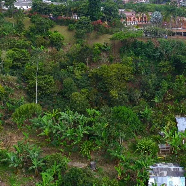 Fortalecen las acciones de protección del medio ambiente