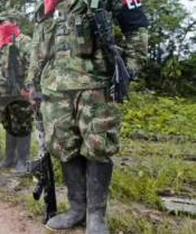 Grupos armados ilegales alcanzaron 27.000 miembros: crecieron 23,5 % el último año