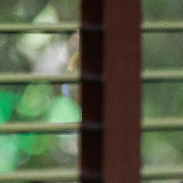 ¡Ojo! Precio del “guaro” bajará hasta $21.000 tras suspensión de la emergencia económica en Colombia