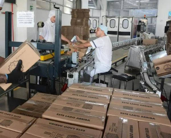 Desempleo en Manizales sigue bajando, informalidad sigue subiendo, estas son las cifras octubre-diciembre 2025