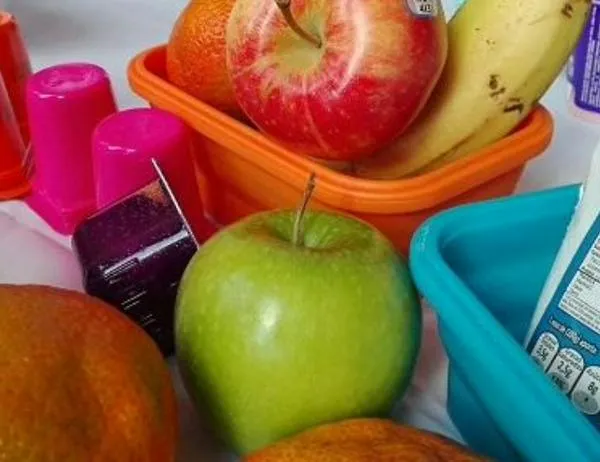 Aprende a preparar loncheras saludables y nutritivas para la jornada escolar 