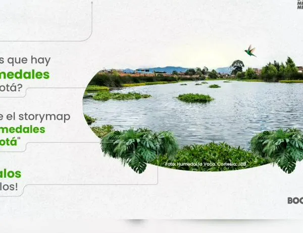 Descubre los 17 humedales de Bogotá y anímate a recorrer estos santuarios de vida 