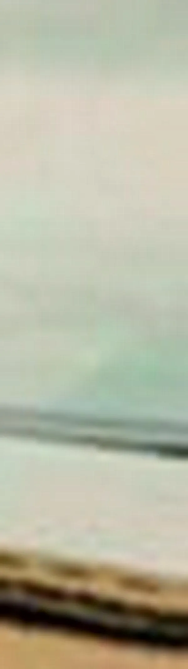 ¿Va a votar en las consultas presidenciales? Así puede pedir el tarjetón interpartidista el 8 de marzo