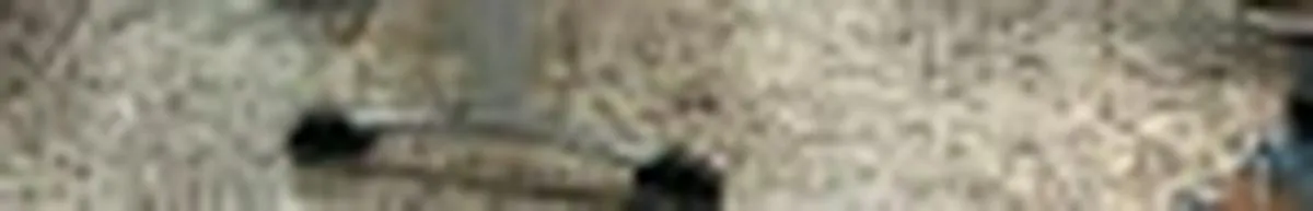 Así puede realizar más de 15 trámites urbanísticos en las ventanillas de Planeación del CAM en Cali