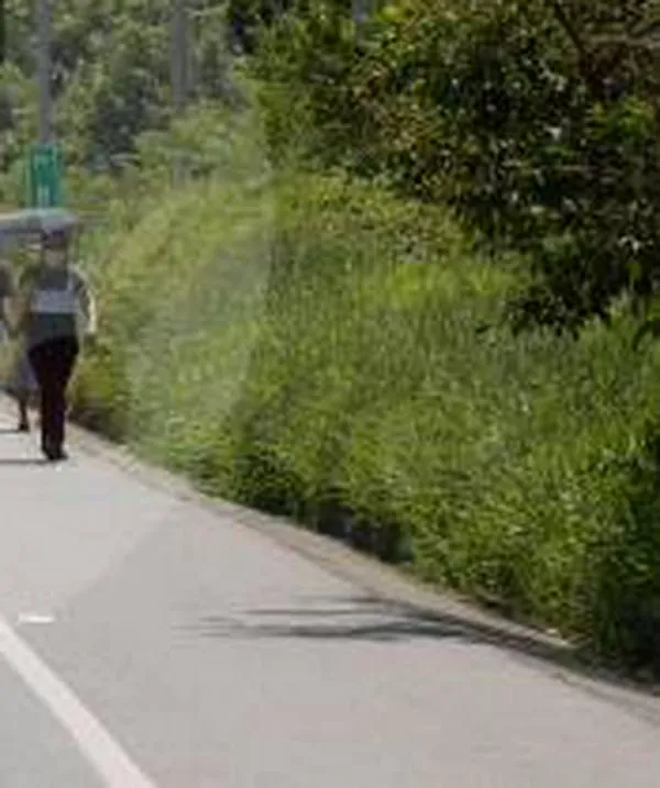 Ladrones tienen azotada la vía Barbosa - Hatillo (Antioquia), pero ya les siguen la pista