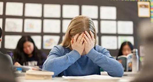 Estudiante en colegio