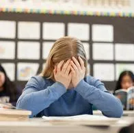 Estudiante en colegio