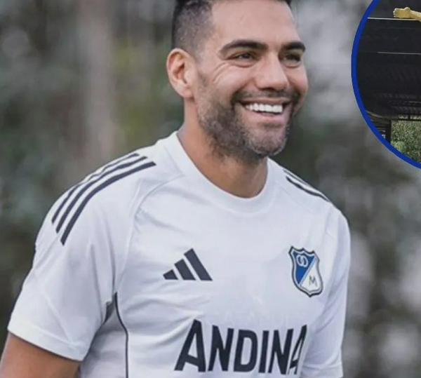 imagen principal home