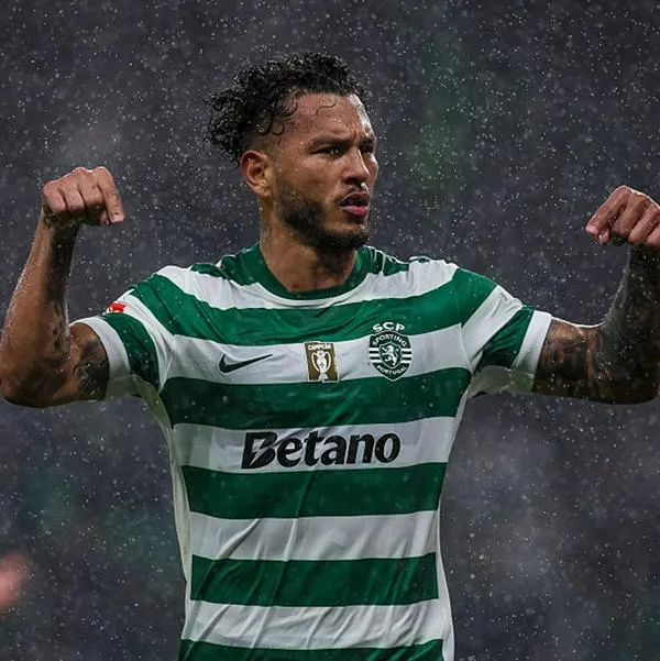 imagen principal home